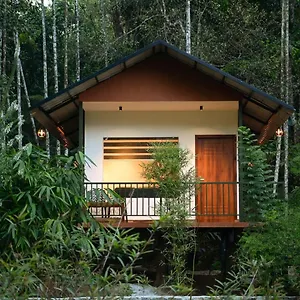 Villa Blue Creek, Meppādi